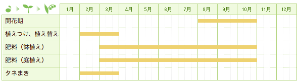 イワギボウシの栽培カレンダー