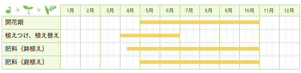 スパティフィラムの栽培カレンダー