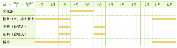 ライラックの栽培カレンダー