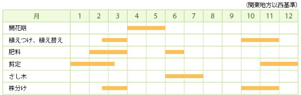 ヤマブキの栽培カレンダー