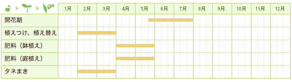 ホタルブクロの栽培カレンダー
