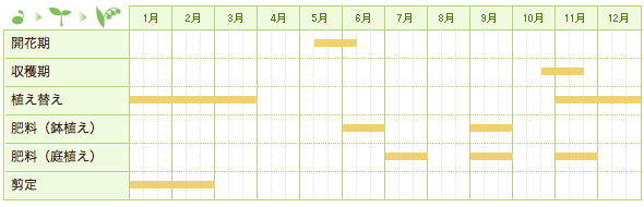 キウイフルーツの栽培カレンダー