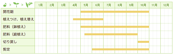 マンデビラの栽培カレンダー