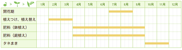 ヤマユリの栽培カレンダー