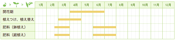 カラタネオガタマの栽培カレンダー