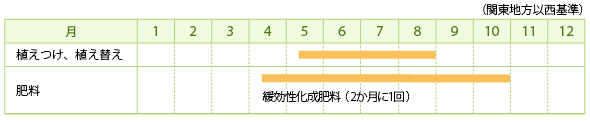 ペペロミアの栽培カレンダー