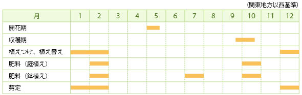 クルミの栽培カレンダー