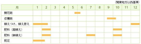 ヤマブドウの栽培カレンダー