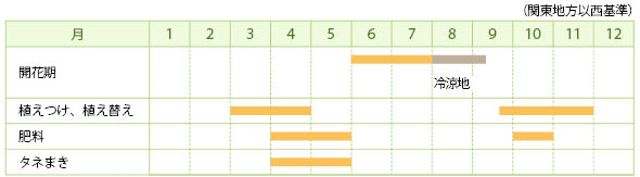 シダルセアの栽培カレンダー