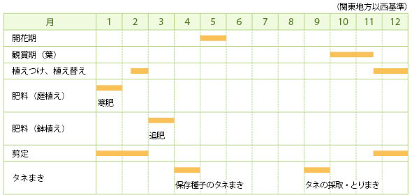 カツラの栽培カレンダー