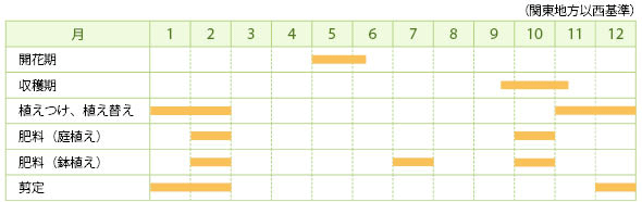 サルナシの栽培カレンダー