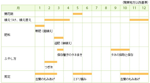 マツの仲間の栽培カレンダー