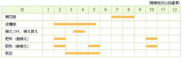キンカン類の栽培カレンダー