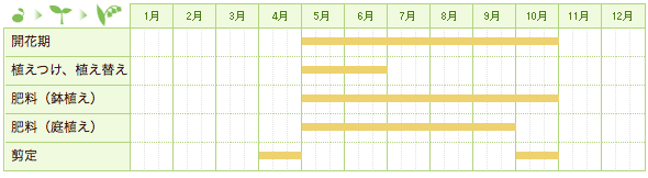 ハイビスカスの栽培カレンダー