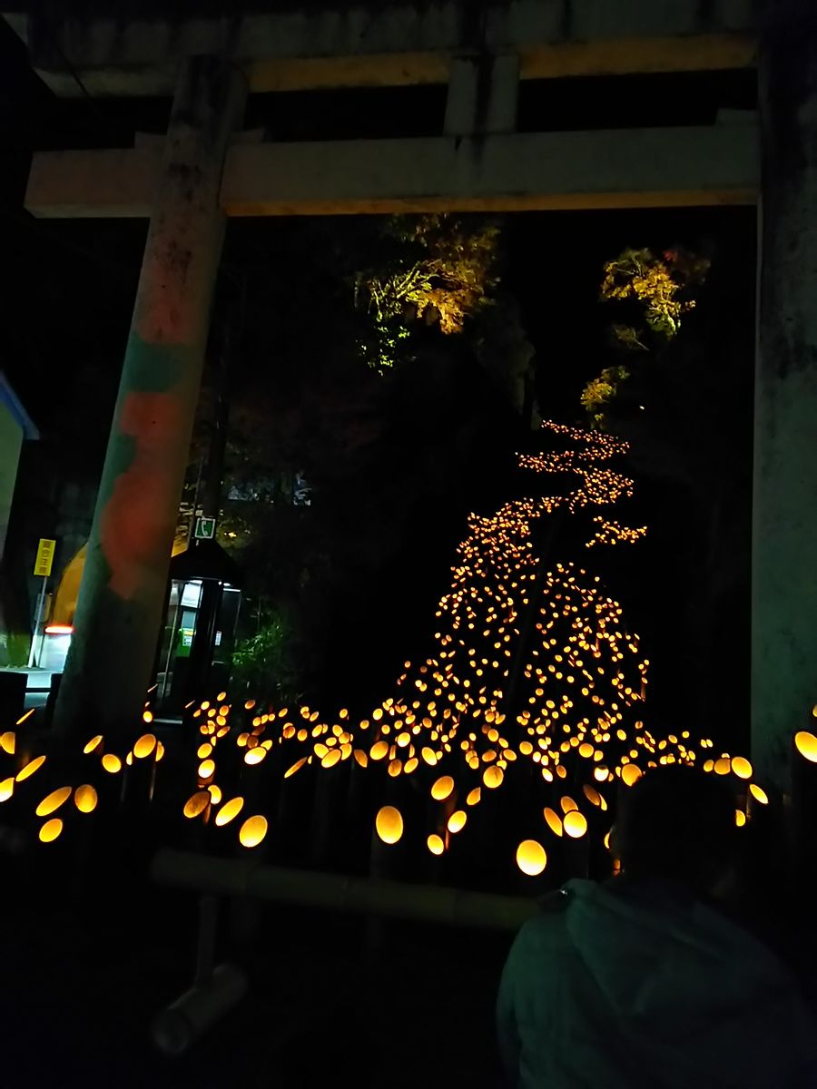 また別の神社の階段に竹灯篭❗