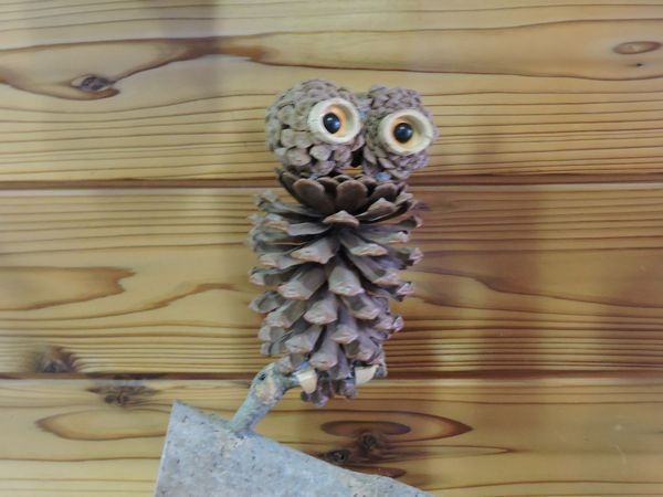 マツボックリで作った木の実細工のフクロウ  2015.01.31撮影