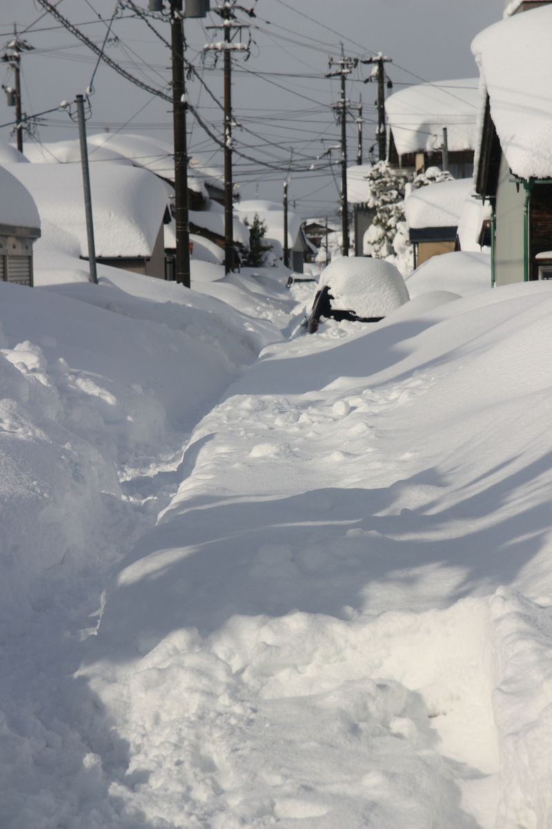 裏の脇道にはスタックした車が埋もれ  除雪車両も入っていません。   ほとんどの道が2