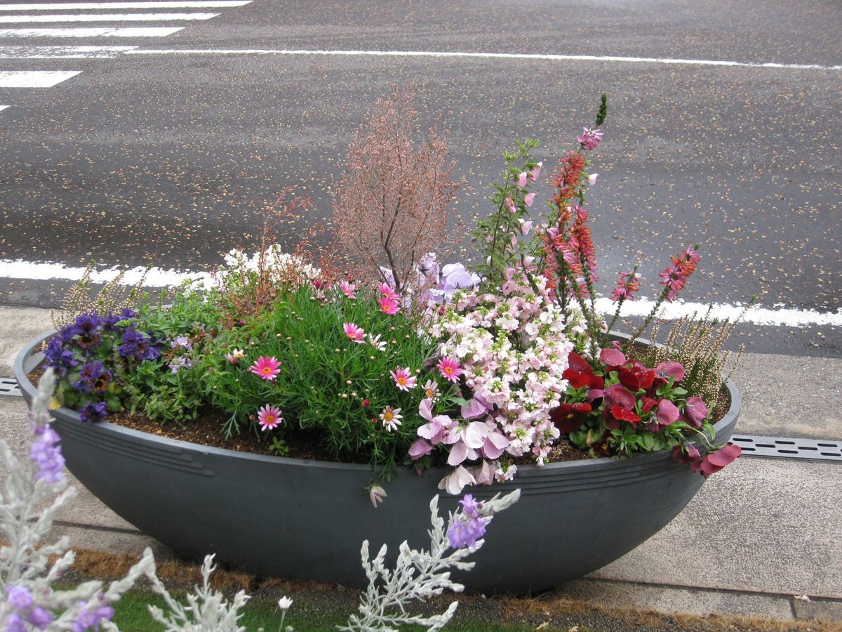 日本大通り たくさんの船型の寄せ植えが一時駐車も許しません