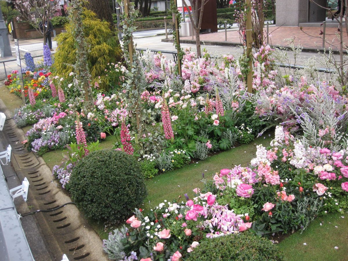 日本大通り この芝のスペースがいいのよ！  同行のマダムがおっしゃっていました