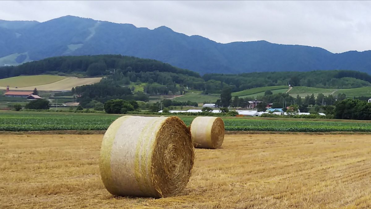 2019.7.31富良野 牧草ロールって 北海道って感じです (*^。^*)