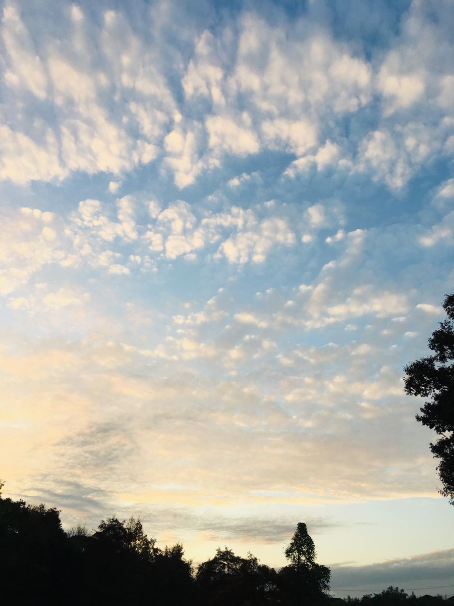 雨あがりの空