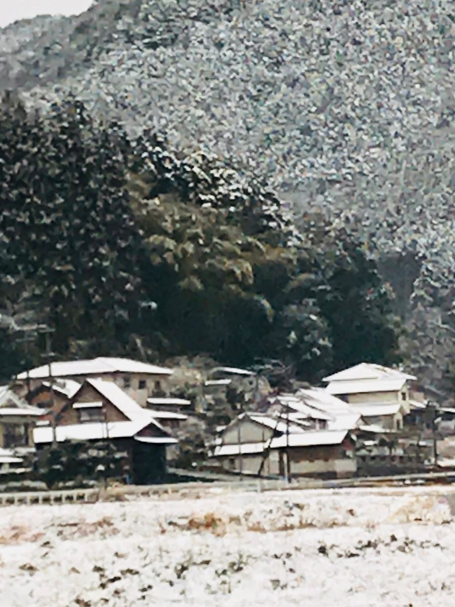 山に雪☃️