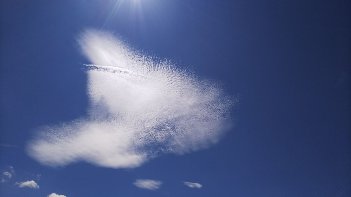 今週撮った、お気に入りの空です😆 酷暑の雰囲気は、あまり伝わりませんね❔