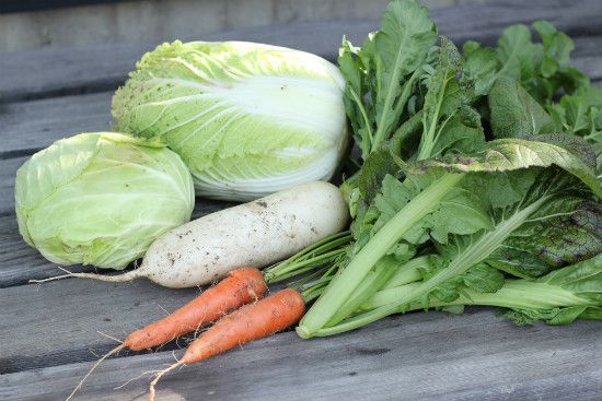 家族３人分には多すぎる野菜ですが一生懸命食べています