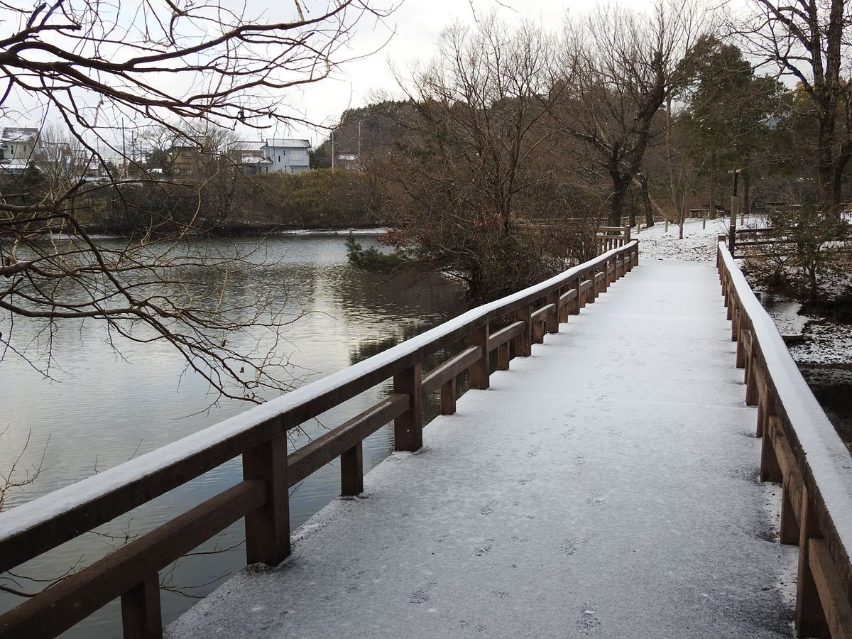 蛇谷池の橋も雪化粧。。。  2018.1.27