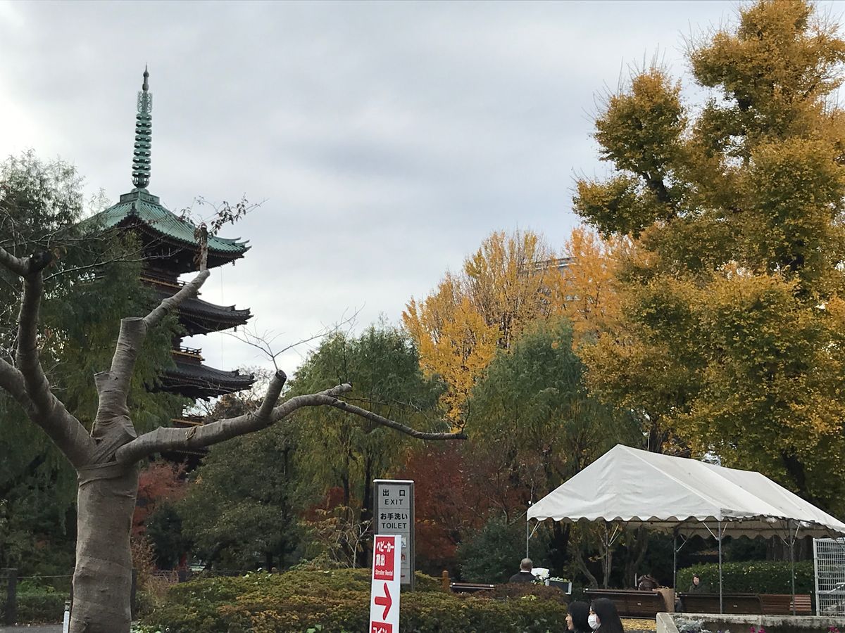 上野の五重塔の紅葉