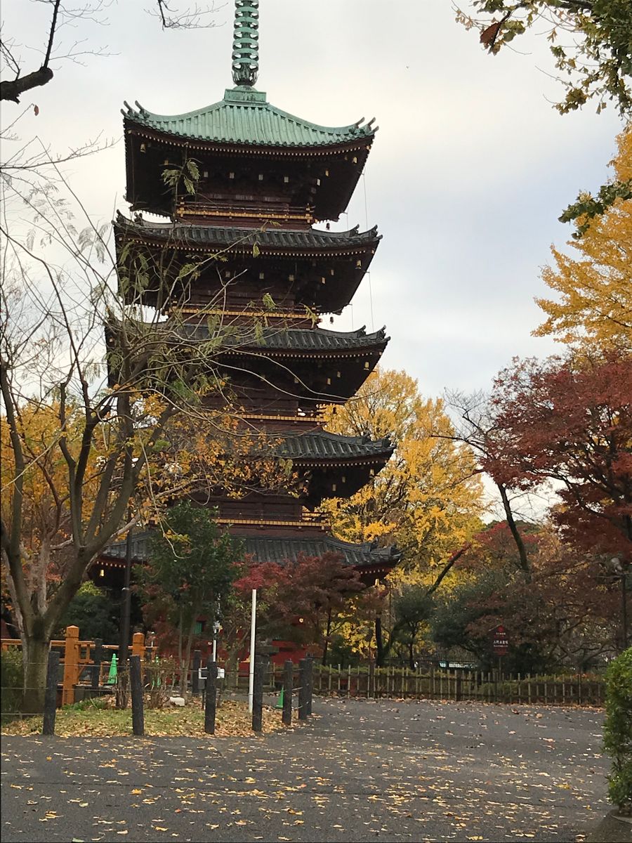 上野の五重塔の紅葉