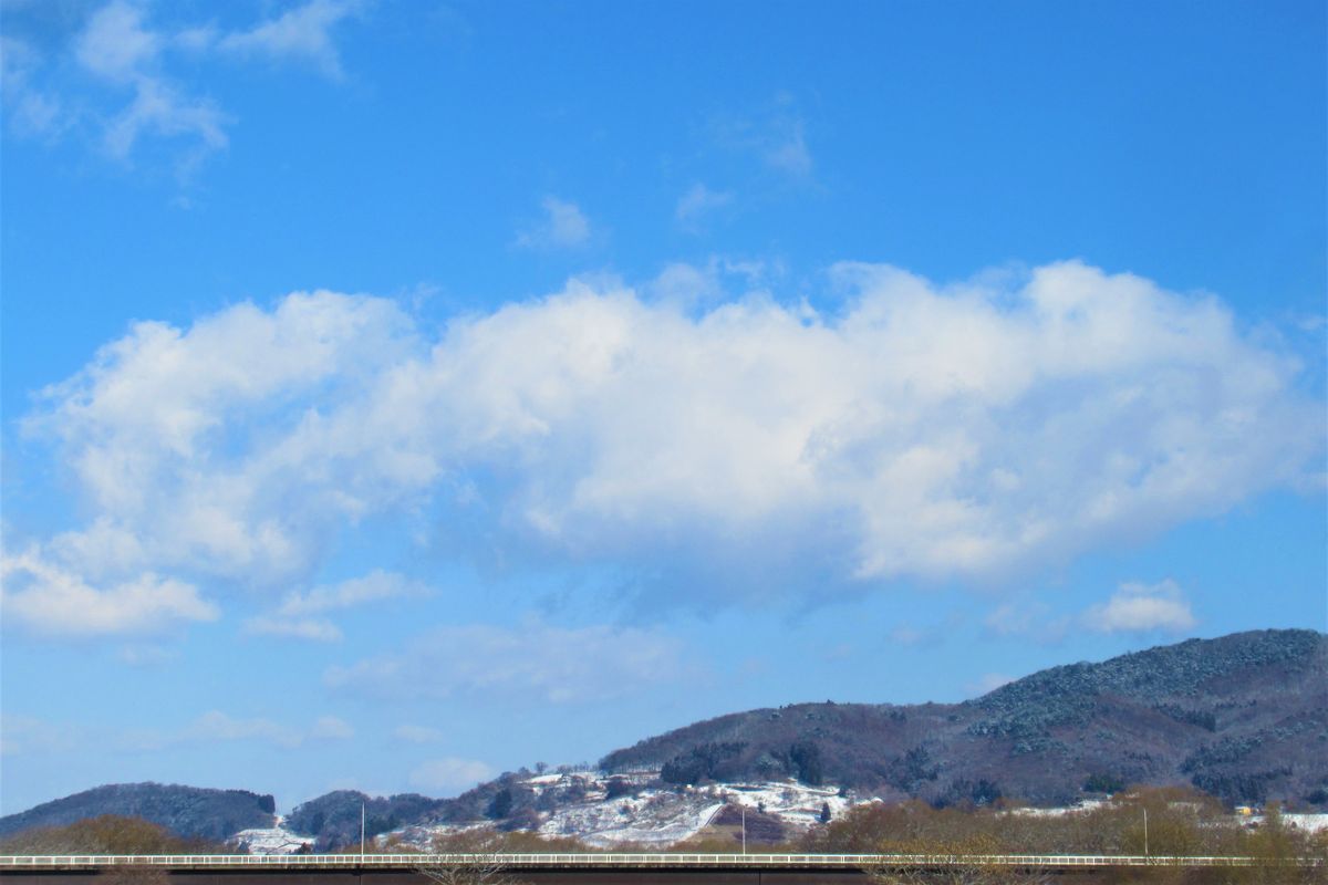 今朝の雪景色「８」