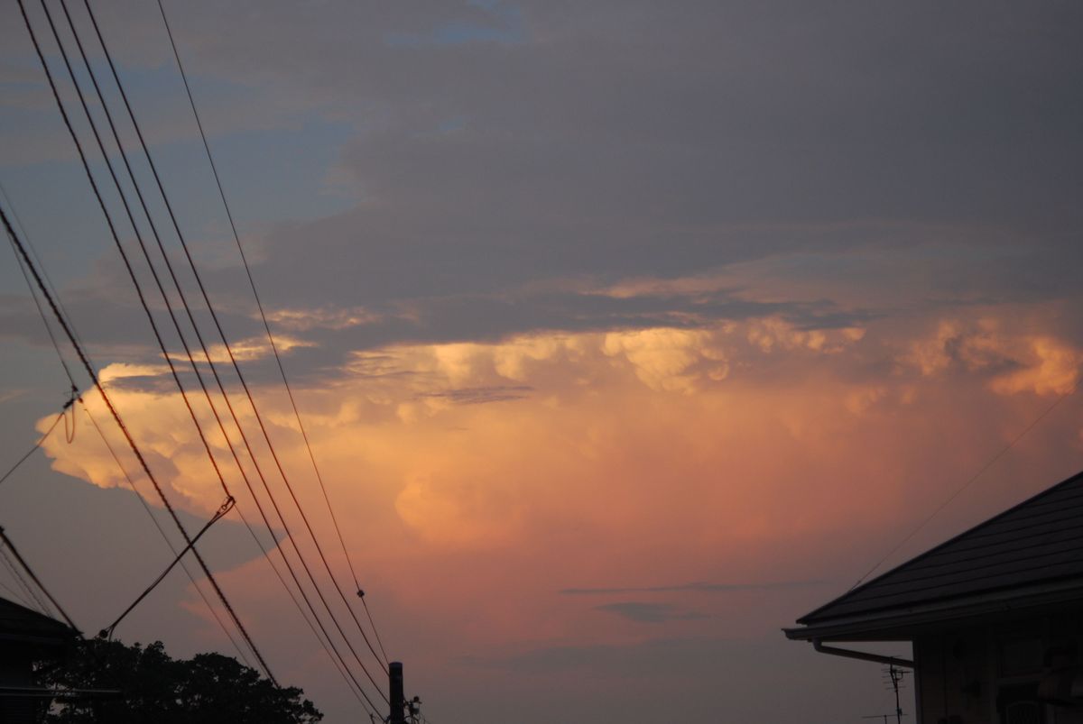 水撒きをしていたら、夕日の積乱雲が印象的だったので。