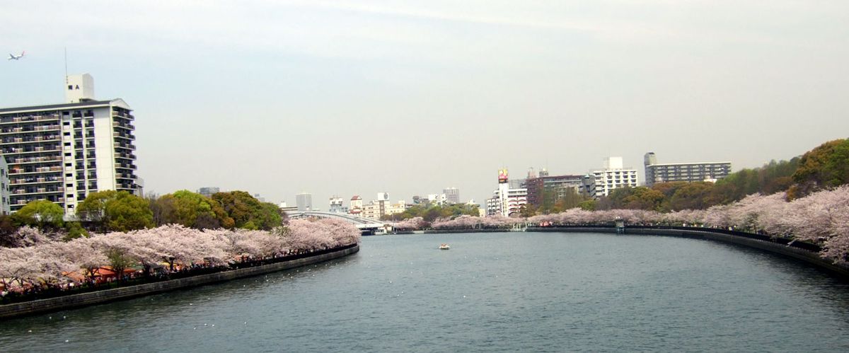 2007/4/10 大阪淀川の桜