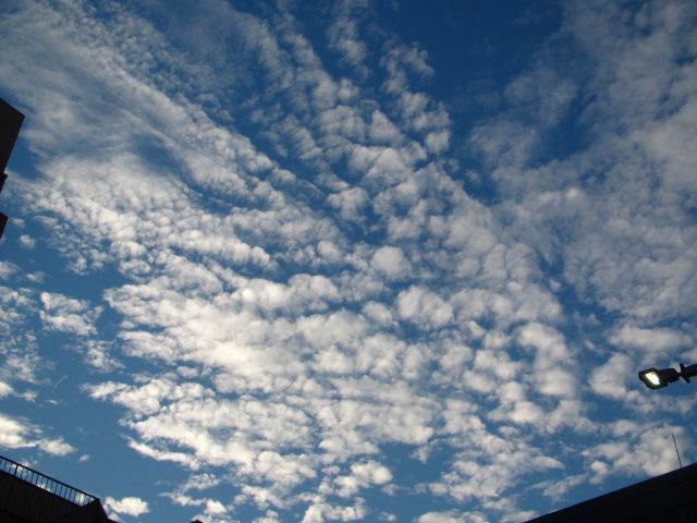 通勤途上(夏の名残と秋）