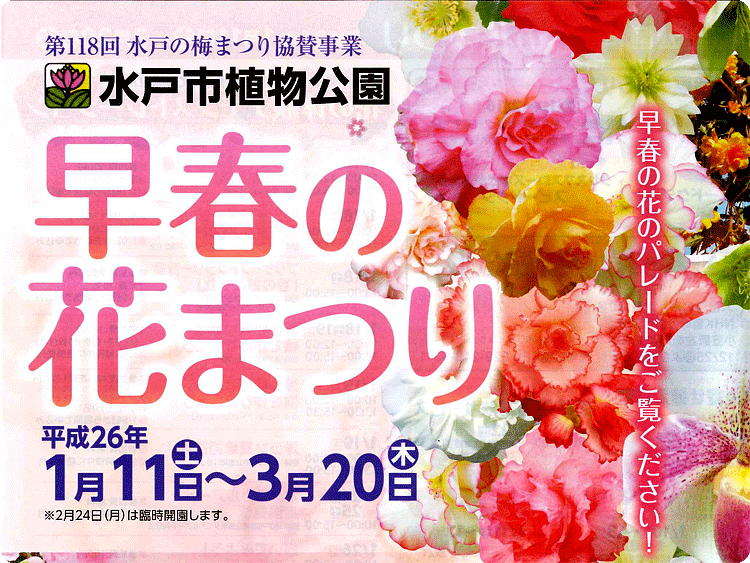 早春の花まつり＆小笠原先生講演会のご案内♪