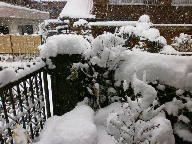 大雪化粧