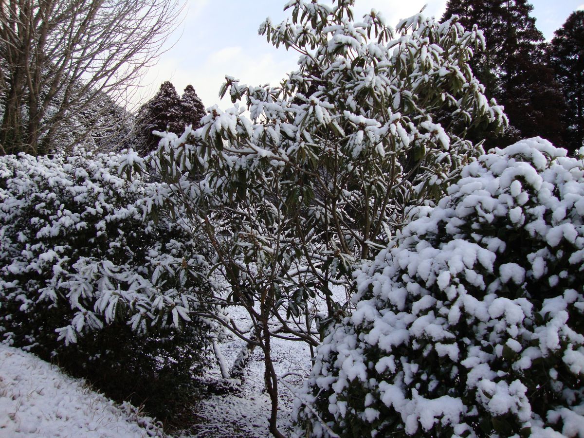 雪の心配