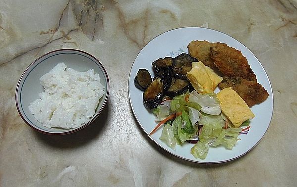 食事療法MS②259日目