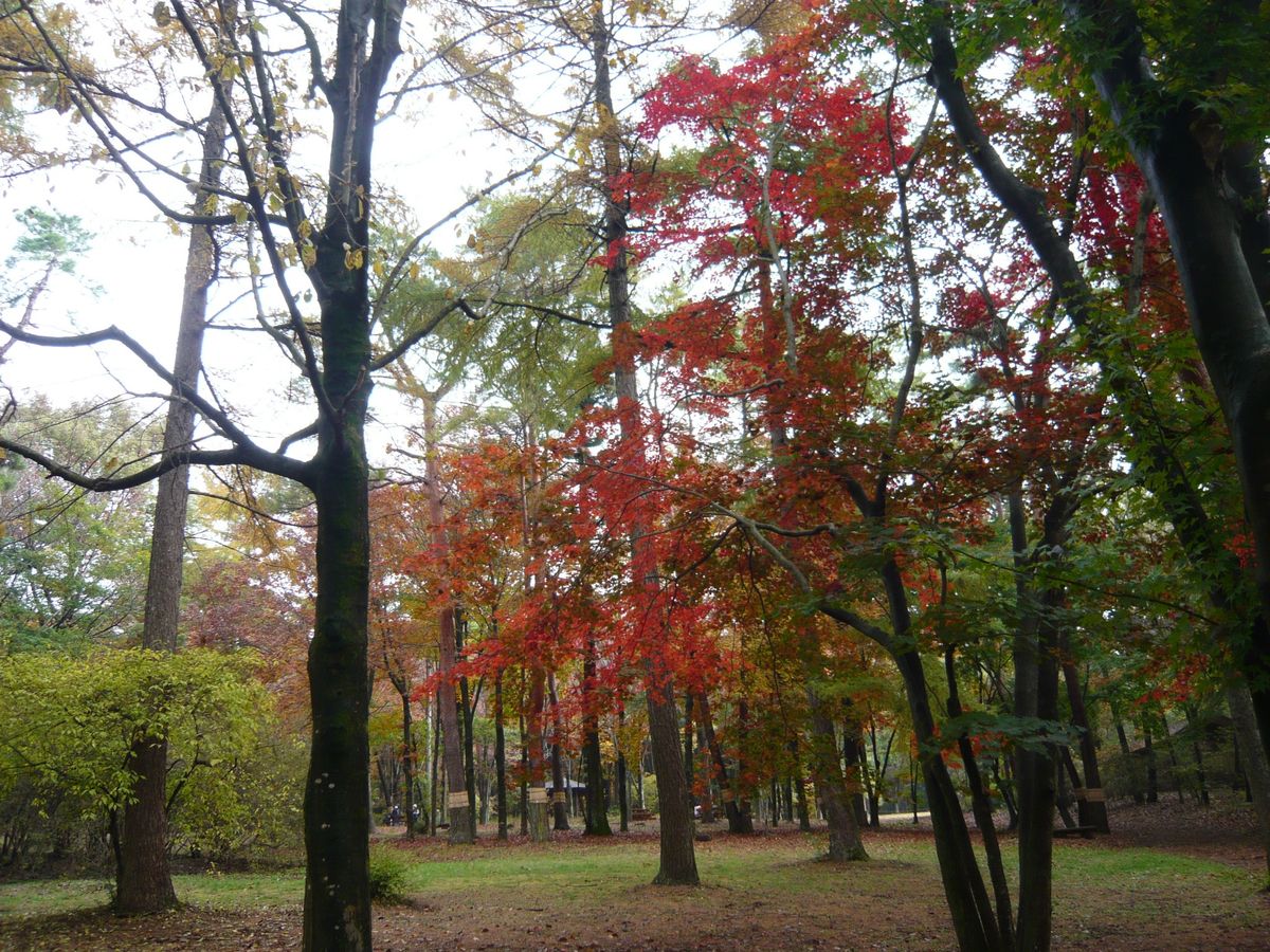 赤城自然園に行って来ました♪