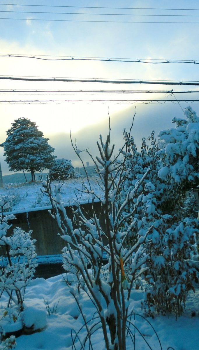 雪が積もりました[i:4]