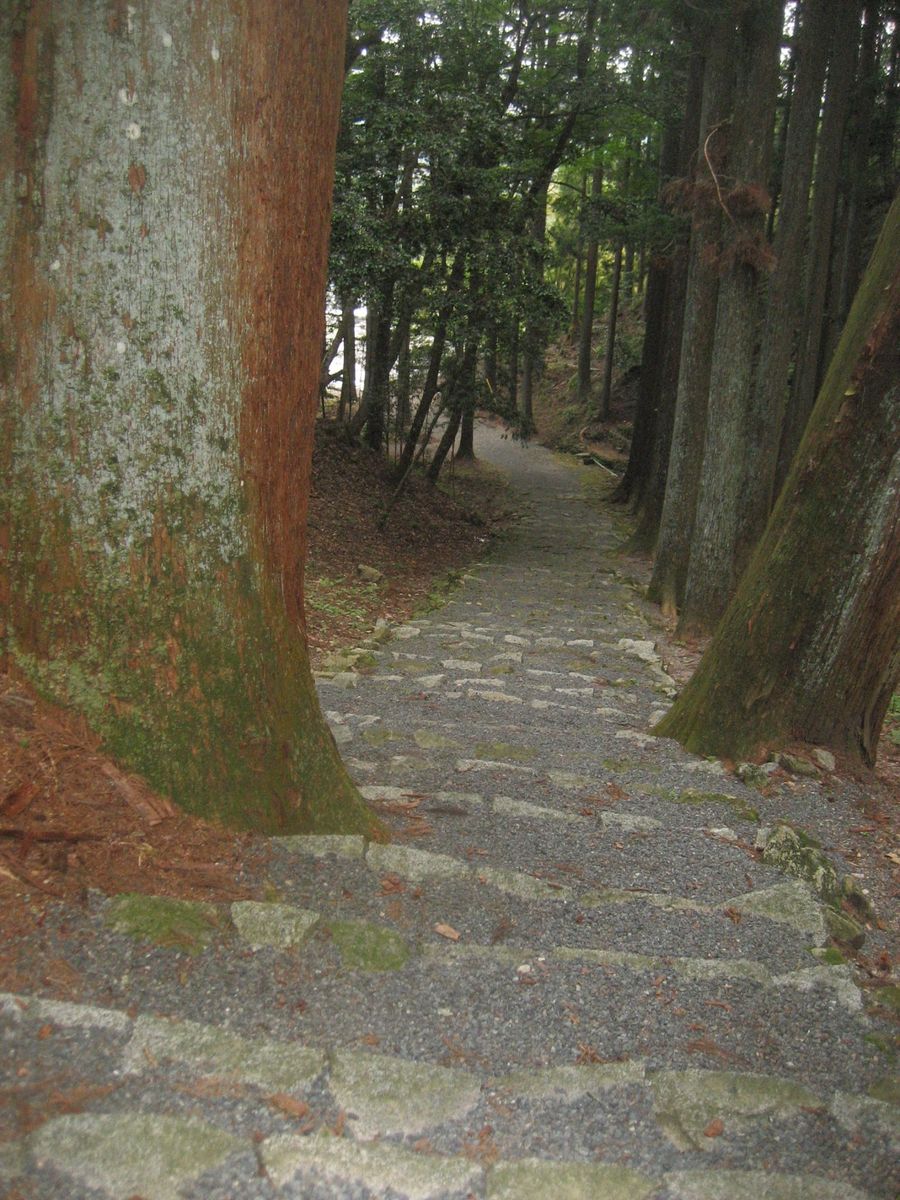 静寂を独り占め