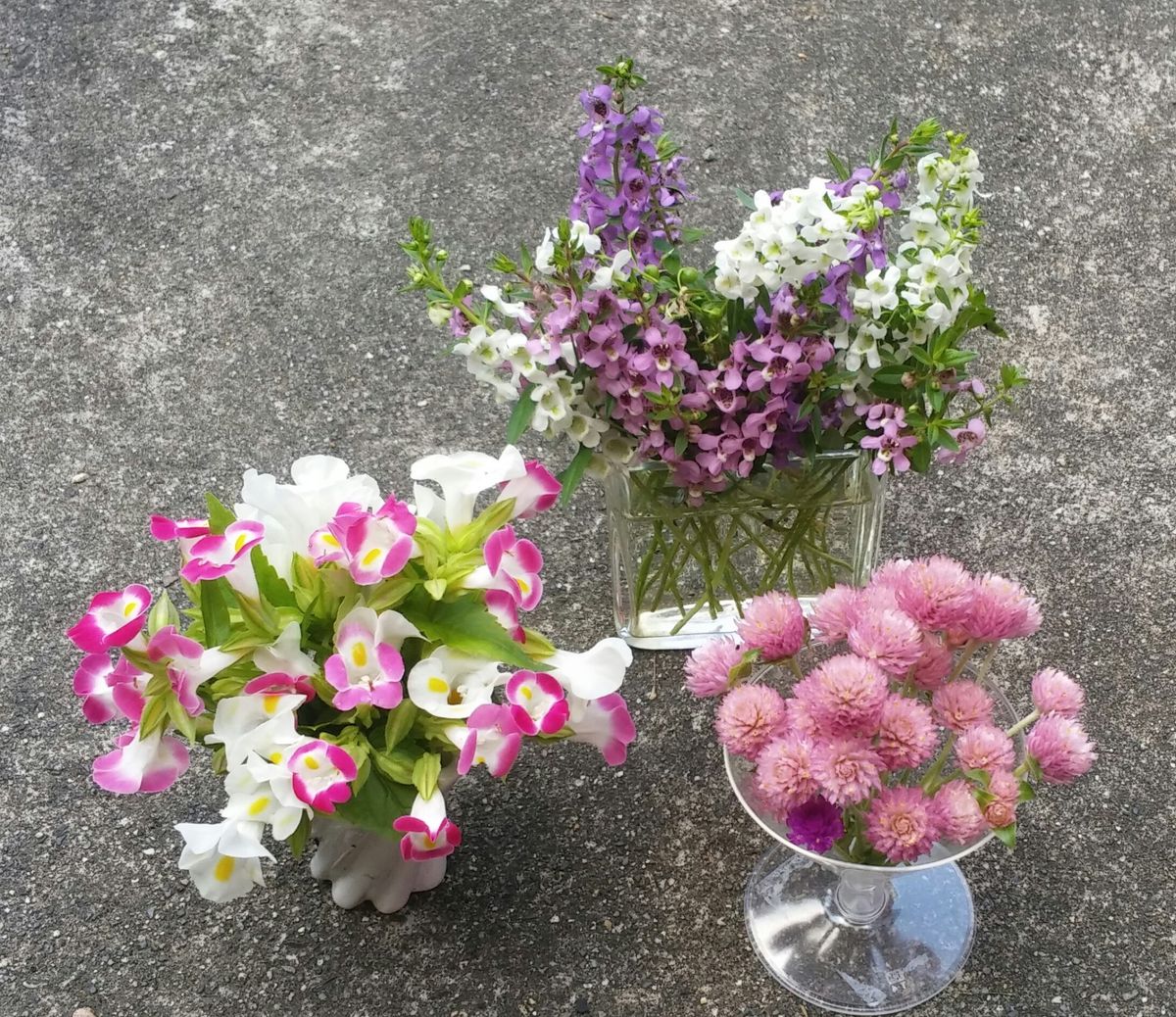 夏の寄植え💠切り戻し大作戦