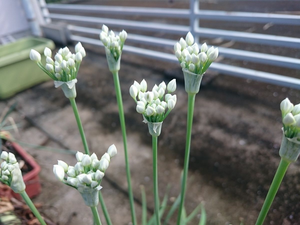 今日のお気に入りのショット