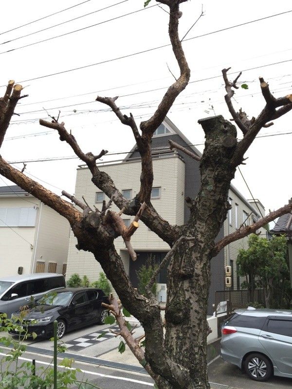 長引いた今朝の作業Σ(ﾟдﾟ；)