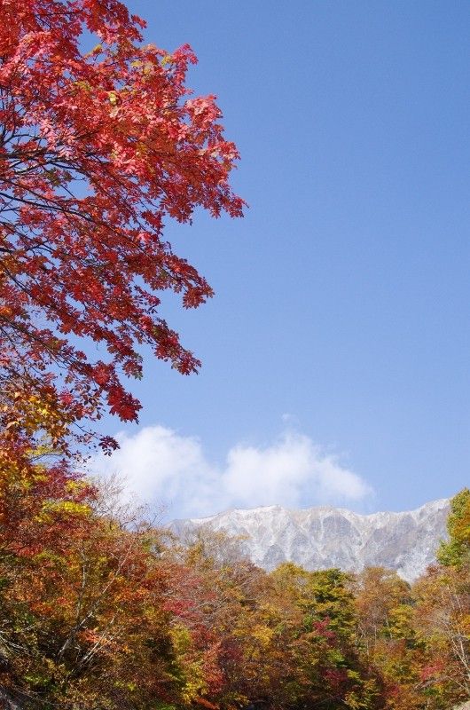 Mt.大山散策してきました　４/5