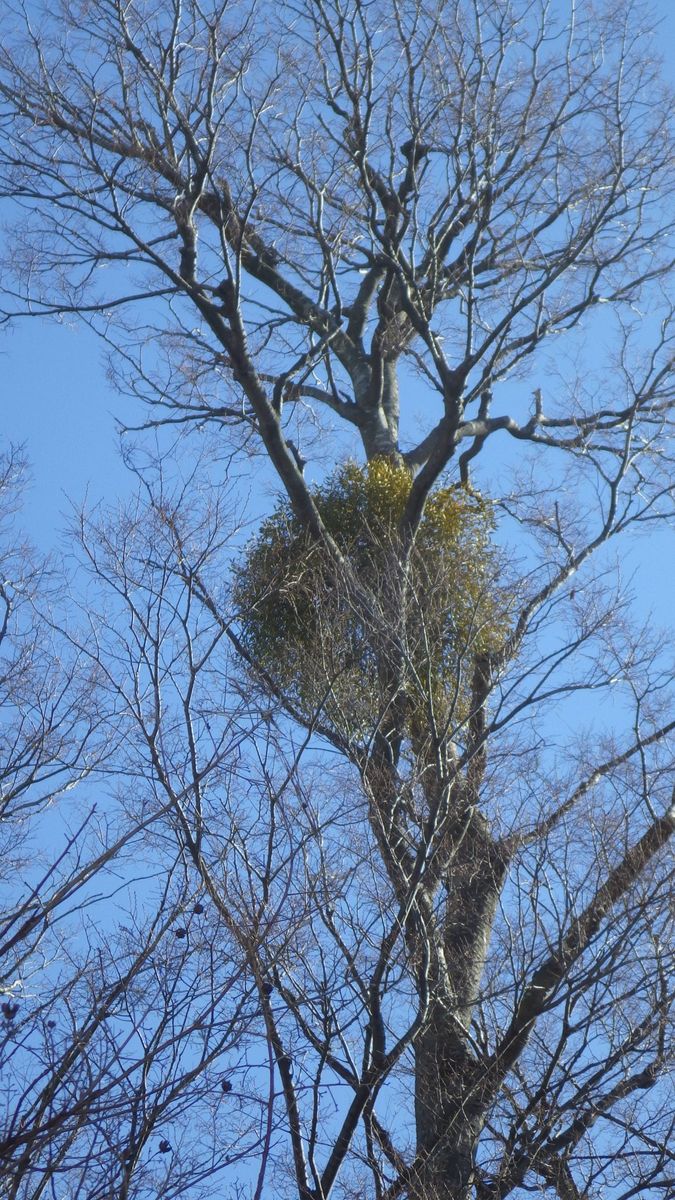 フィールドにて 2016 2月　川