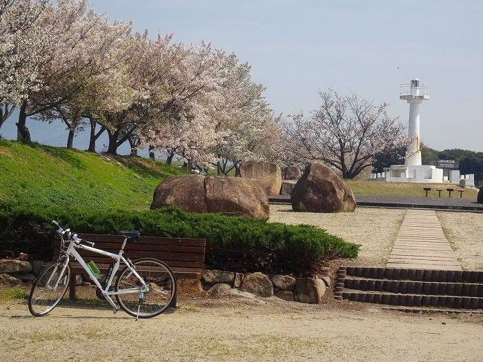 笠岡桜祭り協賛　自転車で花見ツアー開催