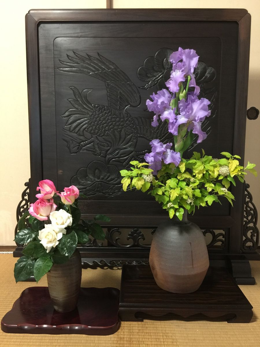 今日の花