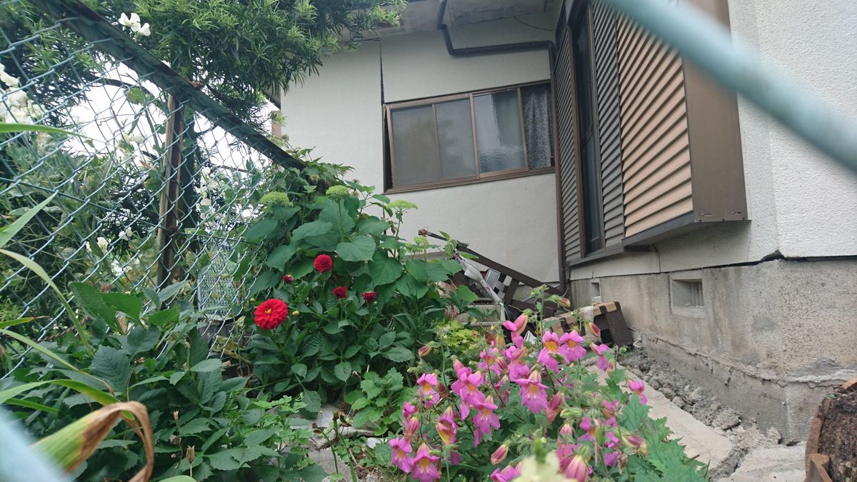 地震後の花壇の様子